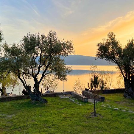 Seafront Traditional Stone House In Sunset Olive Grove - B Vila Alyfanta Exterior foto