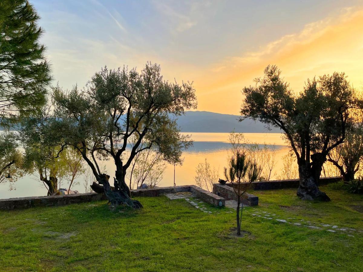 Seafront Traditional Stone House In Sunset Olive Grove - B Vila Alyfanta Exterior foto