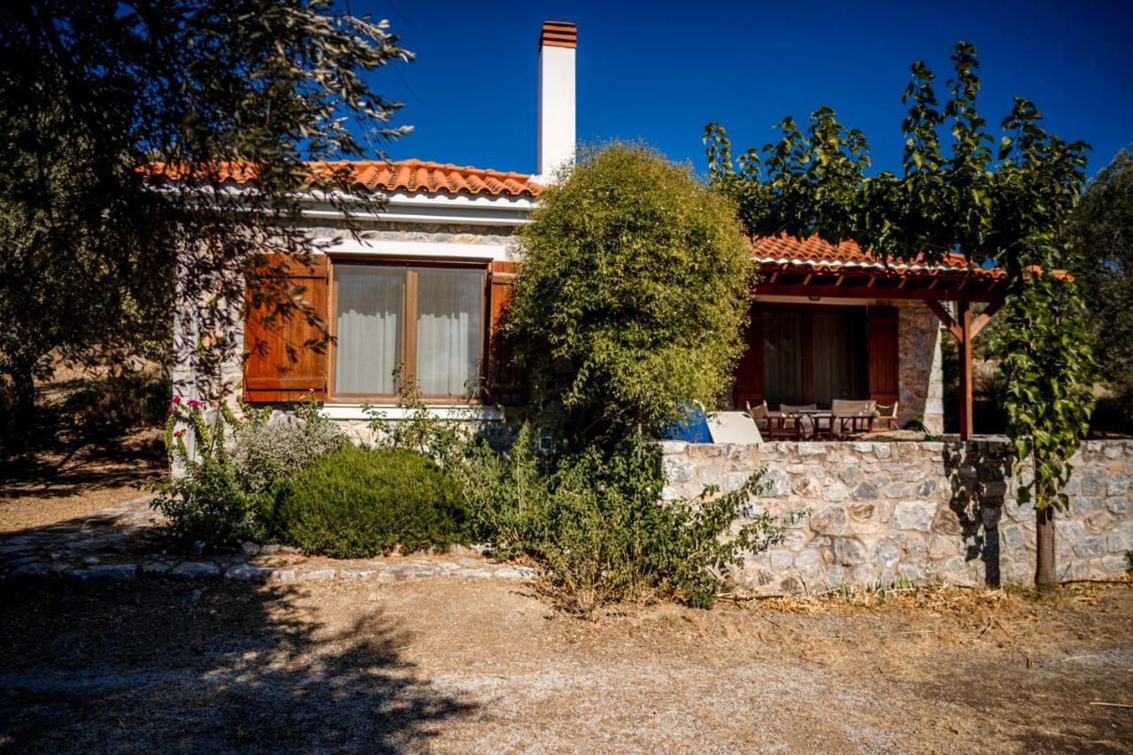 Seafront Traditional Stone House In Sunset Olive Grove - B Vila Alyfanta Exterior foto