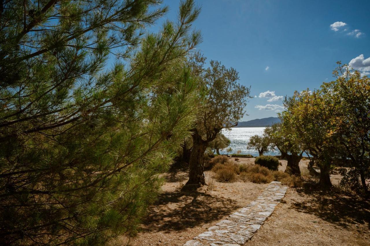 Seafront Traditional Stone House In Sunset Olive Grove - B Vila Alyfanta Exterior foto