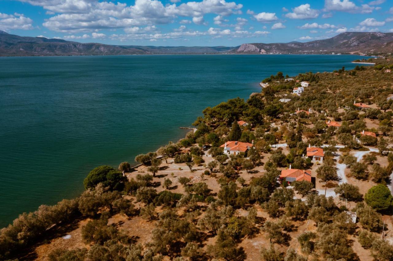 Seafront Traditional Stone House In Sunset Olive Grove - B Vila Alyfanta Exterior foto