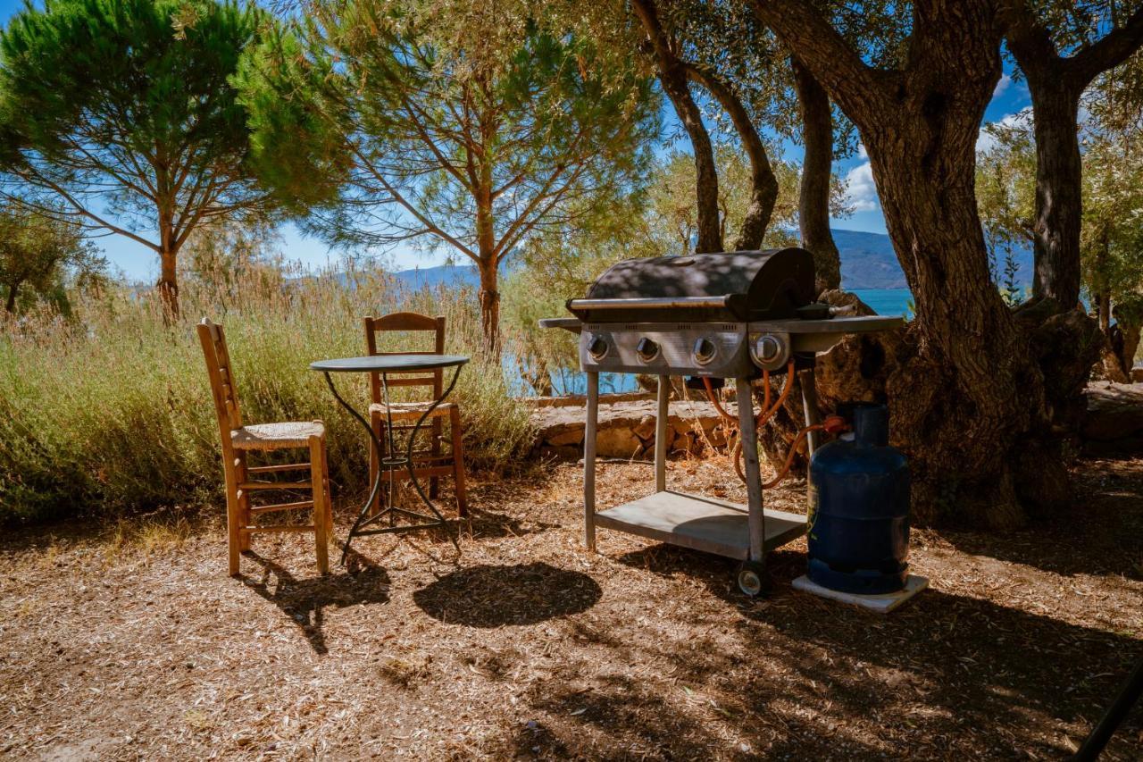 Seafront Traditional Stone House In Sunset Olive Grove - B Vila Alyfanta Exterior foto